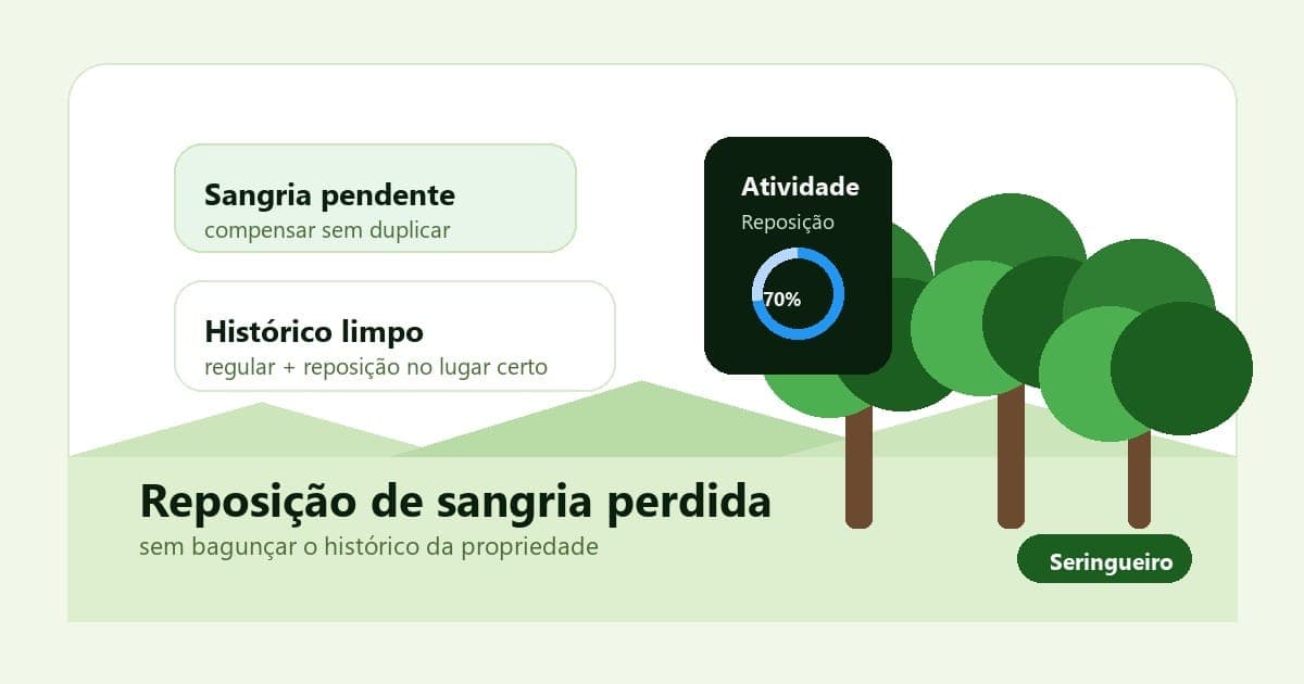 Portal Seringueiro