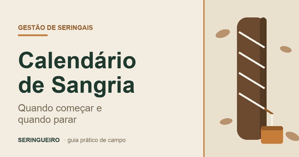 Tronco de seringueira com painel de sangria e caneca coletora, folhas caindo ao redor